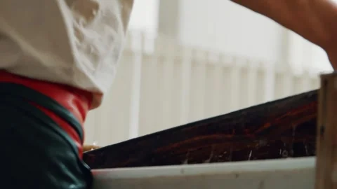 Xuan Paper Making - Dipping Bamboo Screen 4K Stock-Footage 339084059
