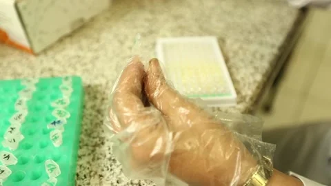 XY2A0745 Stock Footage 164704384