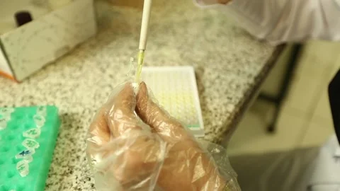 XY2A0746 Stock-Footage 164704659