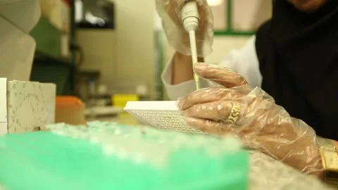 XY2A0747 Stock-Footage 164704484