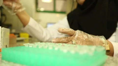 XY2A0748 Video stock 164705714