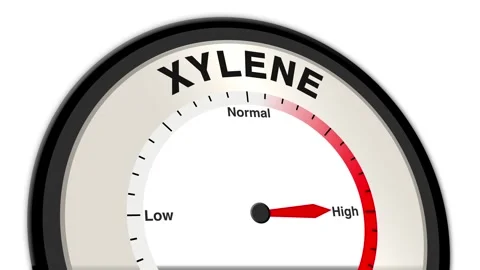 Xylene Text or Word Level Low Normal High - Barometer or Tachometer Concept Stock Footage 308285463