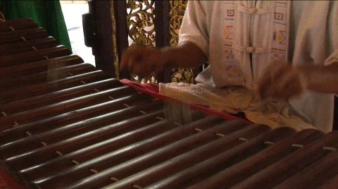 Xylophone player Stock Footage 296012