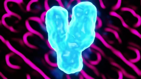 Y-Chromosome DNA Illustration Loop Stock Footage 226857061
