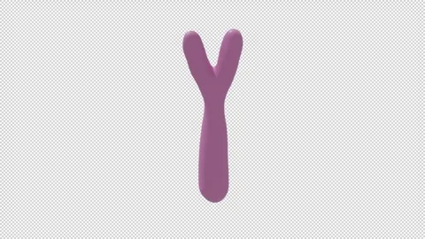 Y chromosome - Loop Alpha HD ProRes Stock Footage 328024953