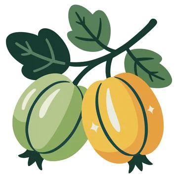 Y Fruit Vector Illustration with Leaves Stock Illustration