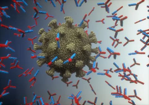 Y-Shaped Antibody Attacking Coronavirus Covid-19 Stock Illustration