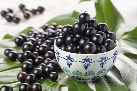 Yabuticaba or jabuticaba is a tree native to Brazil, Argentina, Bolivia and.. Stock Photos