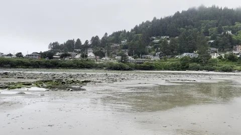 Yachats at low tide Stock Footage 156640501