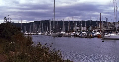 Yacht Harbour Stock Footage 117290385