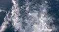 Yacht wake HD Footage