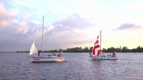 Yachting Stock Footage 38964670