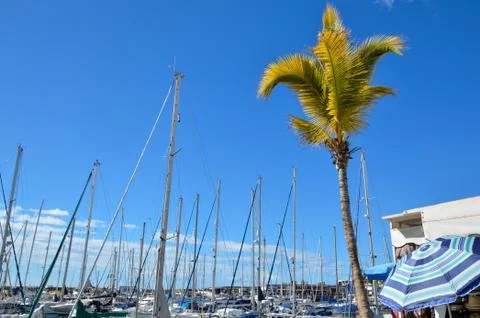 Yachts all over Stock Photos
