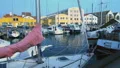 Yachts and sailboats docked in Copenhagen port, summer tourism, European town HD Footage