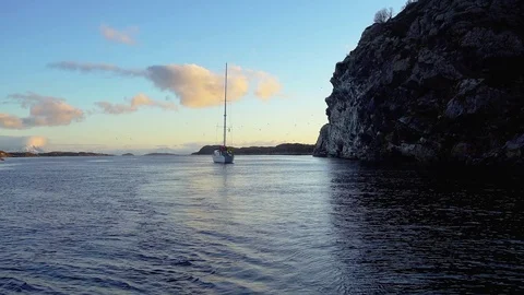 Yachts and seagulls at sunset 库存影片 117517513