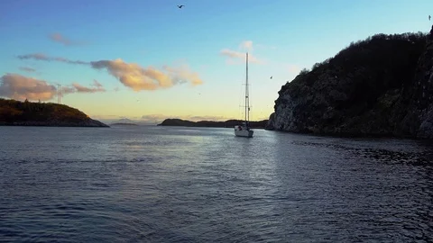 Yachts and seagulls at sunset Stock Footage 117517917