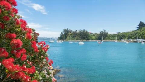 Yachts at Back Beach, Port Chalmers. 스톡 사진