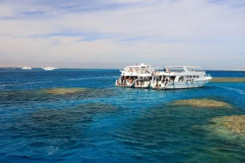 Yachts in egypt Фото