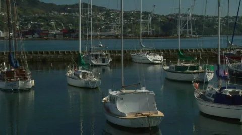Yachts Gently Rock 스톡 동영상 331658