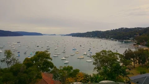 Yachts in harbor Stock Footage 95257530