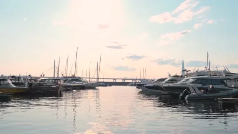 Yachts in the harbor Video stock 133836132