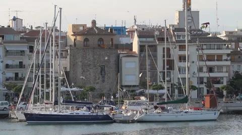 Yachts in harbour Stock Footage 7763999