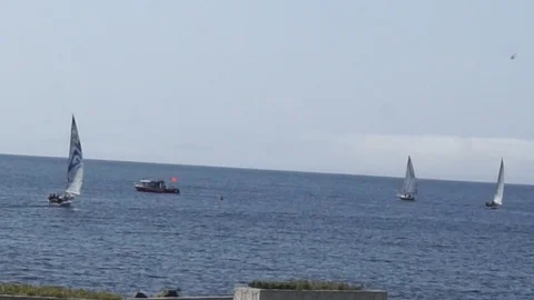 Yachts maneuver Vídeo Stock 91928176