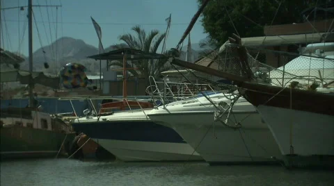 Yachts in Marina Stock Footage 480040
