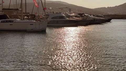 Yachts in the Marina at Night Stock Footage 341892236