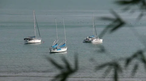 Yachts moored in bay. Stock Footage 67267952