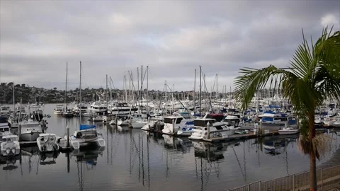 Yachts moored in a Marina Stock Footage 219957307