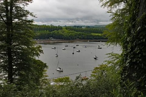 Yachts moored on the River Dart in Devon, viewed through a gap in the trees Photos