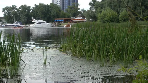 Yachts at the pier in 4K Stock Footage 150724916