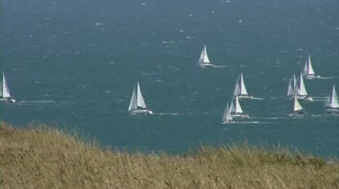 Yachts racing high-angle Vídeo Stock 10719272