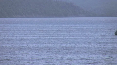 Yachts in the sea Stock Footage 50126188