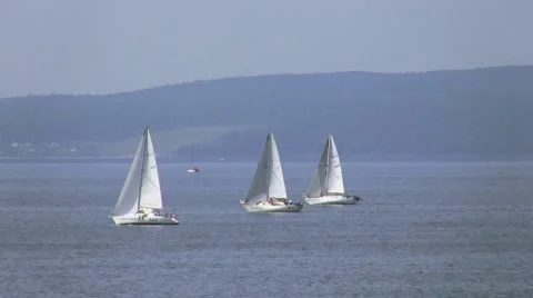 Yachts in the sea Stock Footage 50600196