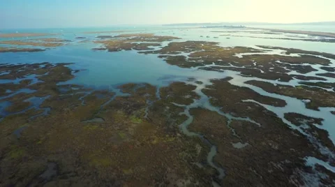 Yachts at the sea side Stock Footage 48909431