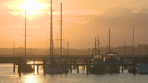 Yachts at sunset Stock Footage 1080492