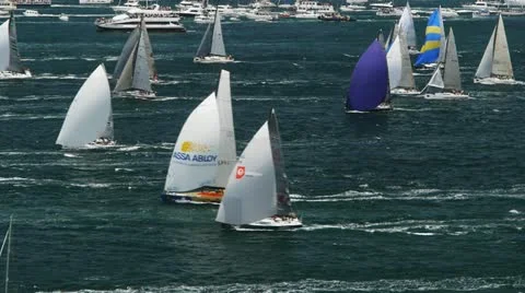 Yachts on sydney harbour Stock Footage 17041987