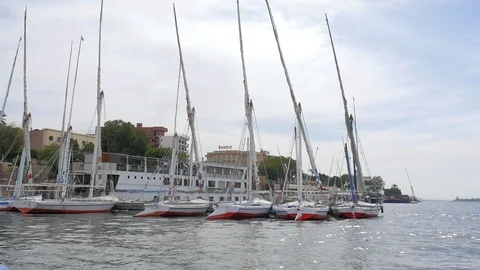 Yachts on the Water Stock Footage 86866605