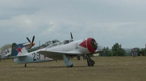 Yak 11 Moose Stock Footage 7761374