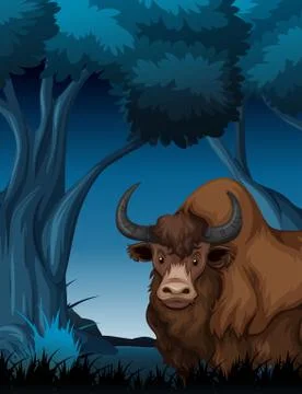 Yak in the dark forest Stock Illustration