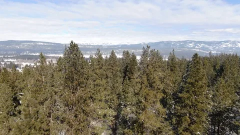 Yakima Trees Stock Footage 105259619