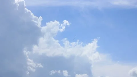 Yakovlev Yak-52 showing maneuvers Stock Footage 52922013