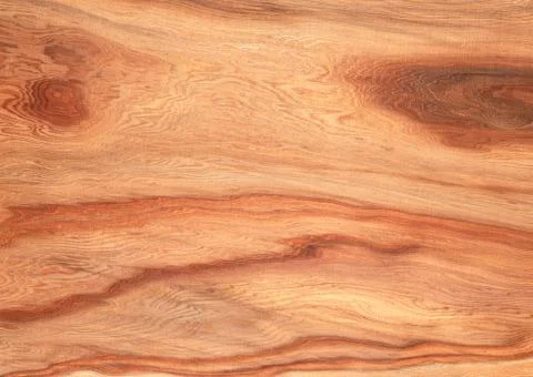 Yaku Cedar Stock Photos
