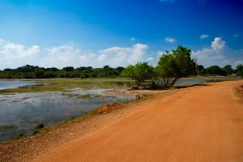 Yala road Stock Photos