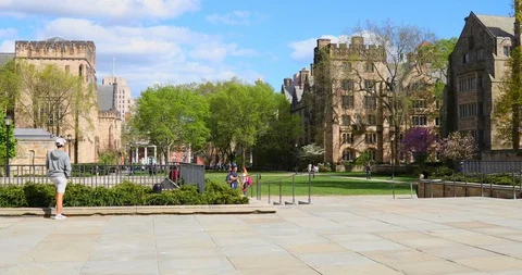 Yale University Stock Footage 88161038