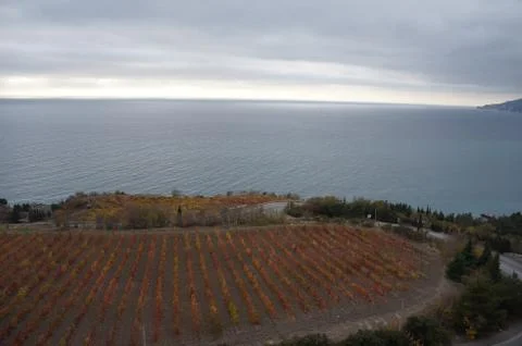Yalta bay Foto stock