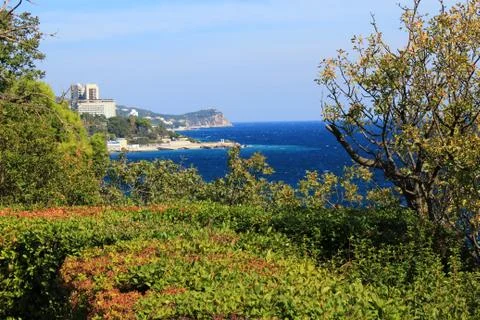 Yalta Stock Photos