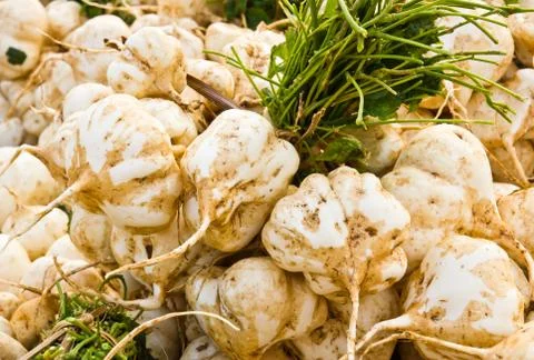 Yam bean Stock Photos